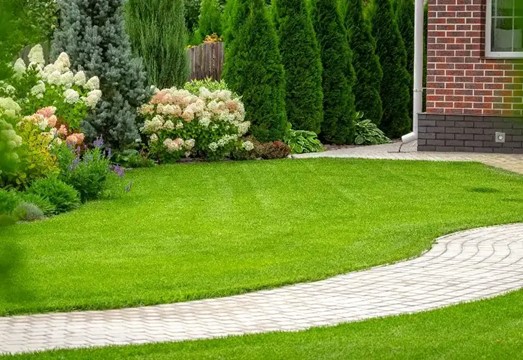 Backyard with pretty landscape and freshly cut grass