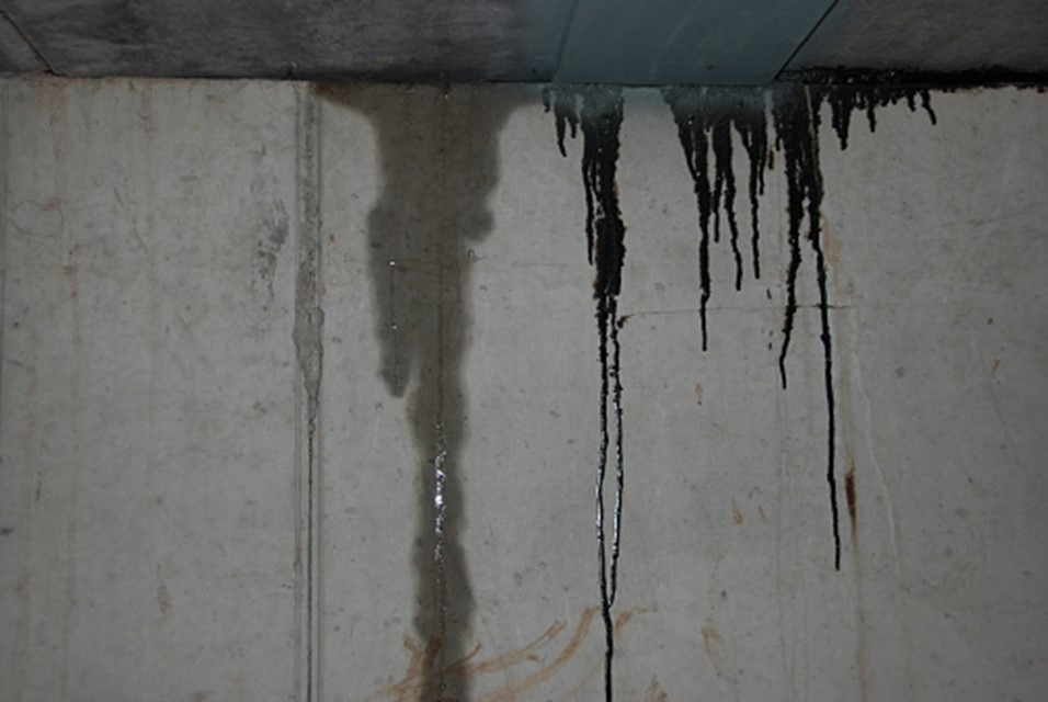 Causes And Solutions for Leaking Basement Walls