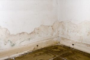 Common Basement Problems to Look Out For 2